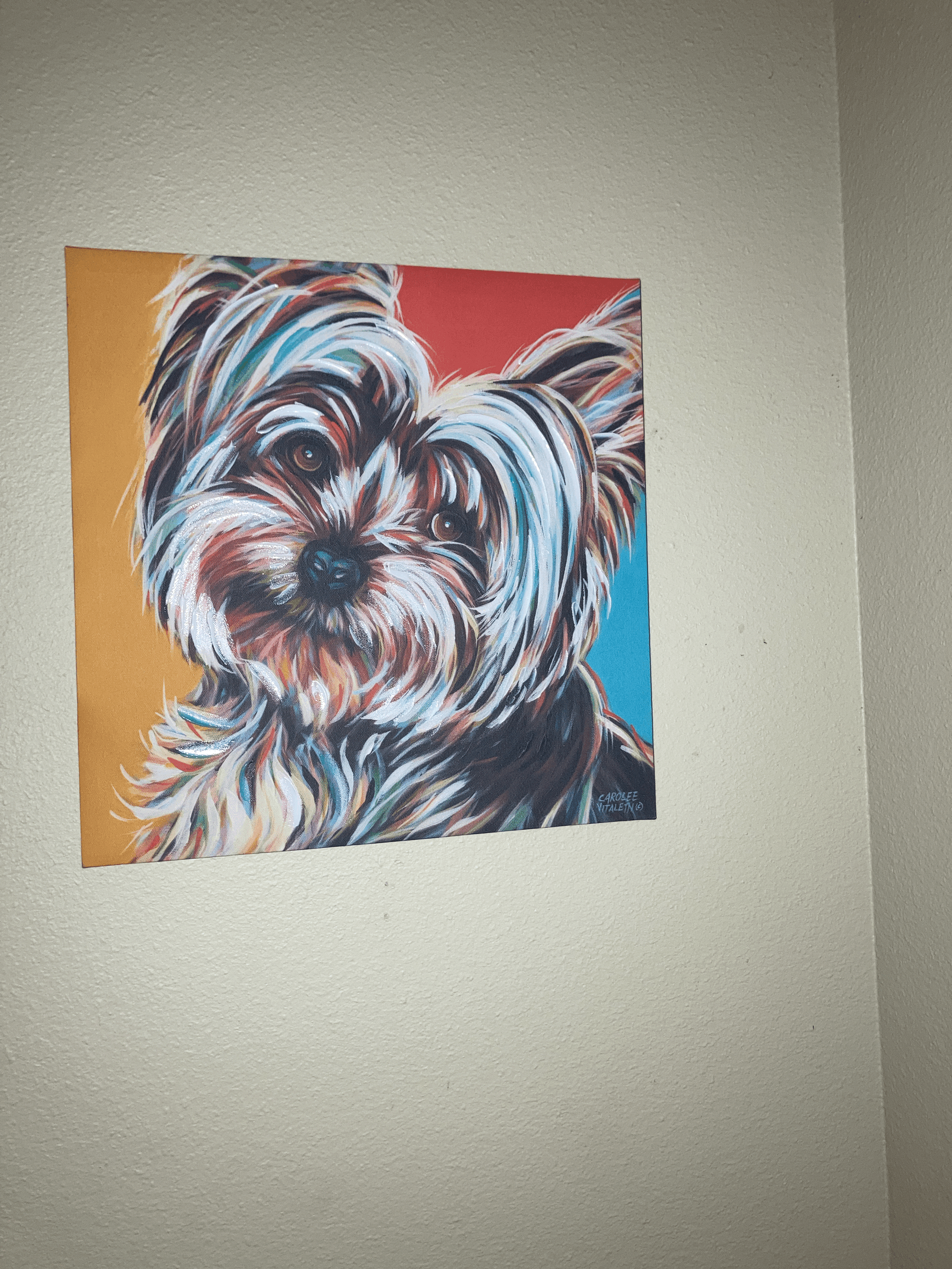 Hot Springs in Our Kansas