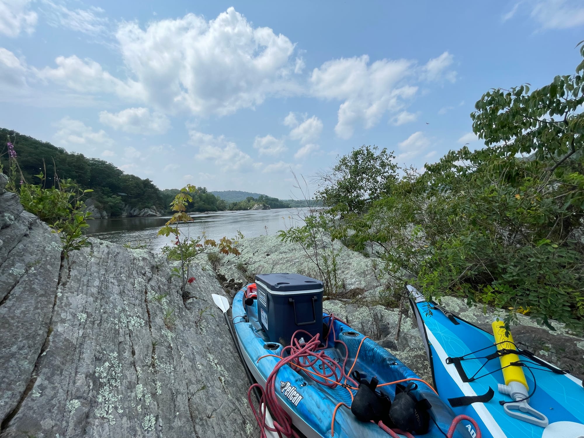 Row Row Row your boat, gently down to 😐 Montana 😐