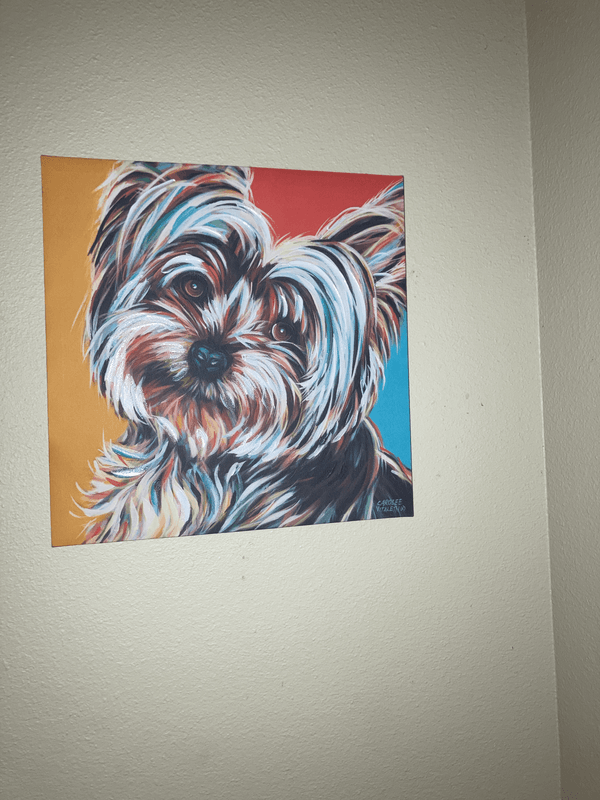 Hot Springs in Our Kansas